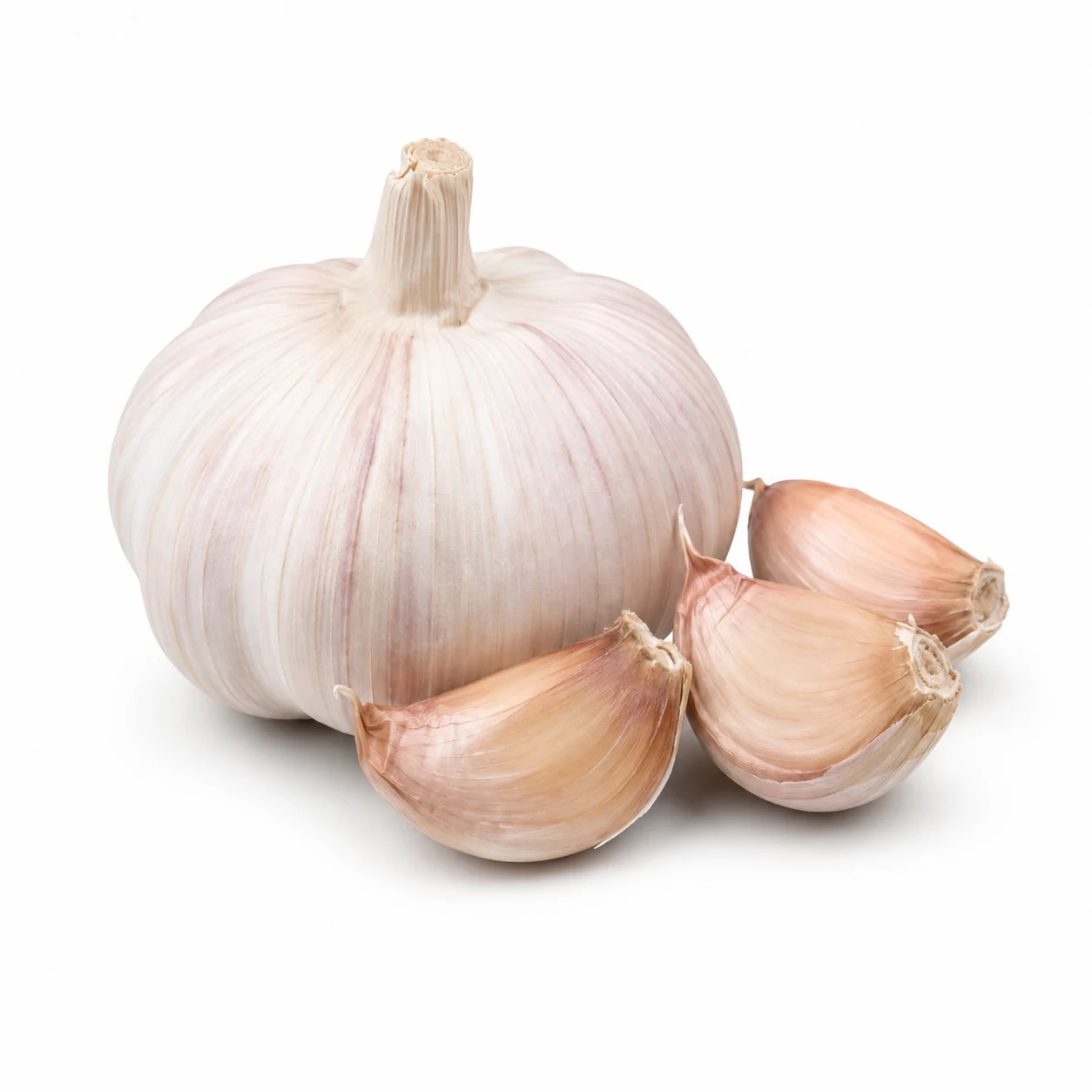 Bawang putih